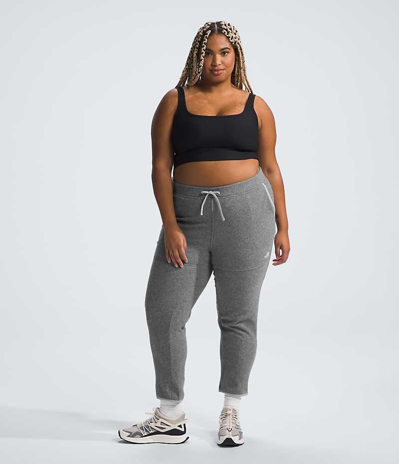 Pantalon En Molleton The North Face Plus Alpine Polartec® 100 Femme Grise | FR KABLG