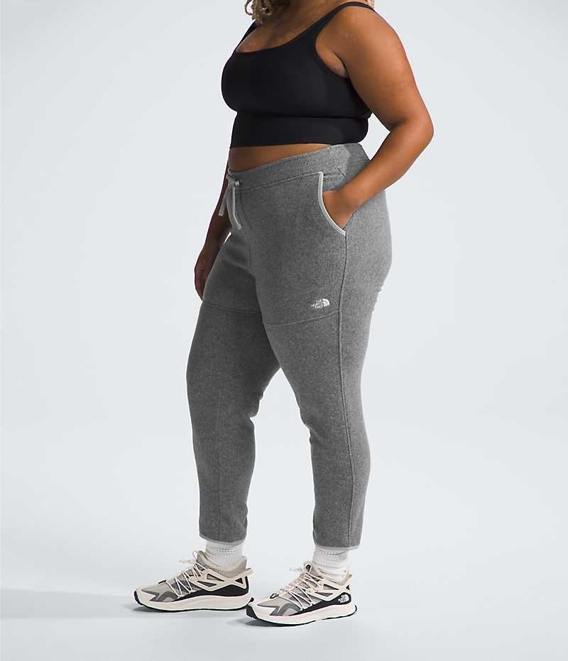 Pantalon En Molleton The North Face Plus Alpine Polartec® 100 Femme Grise | FR KABLG