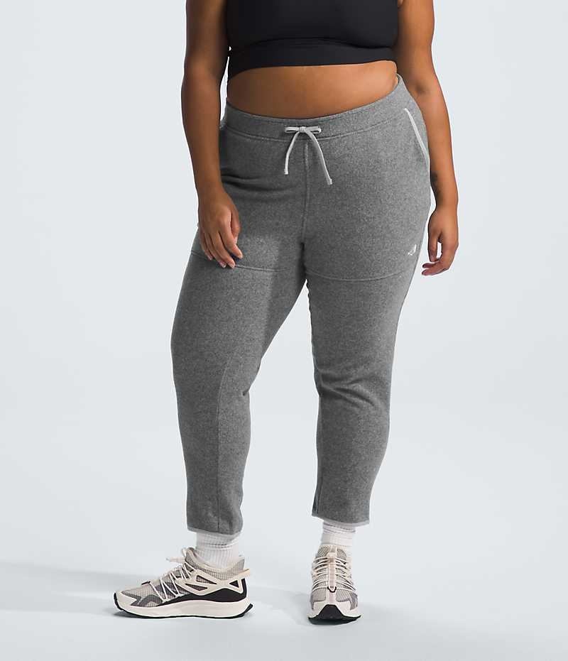 Pantalon En Molleton The North Face Plus Alpine Polartec® 100 Femme Grise | FR KABLG