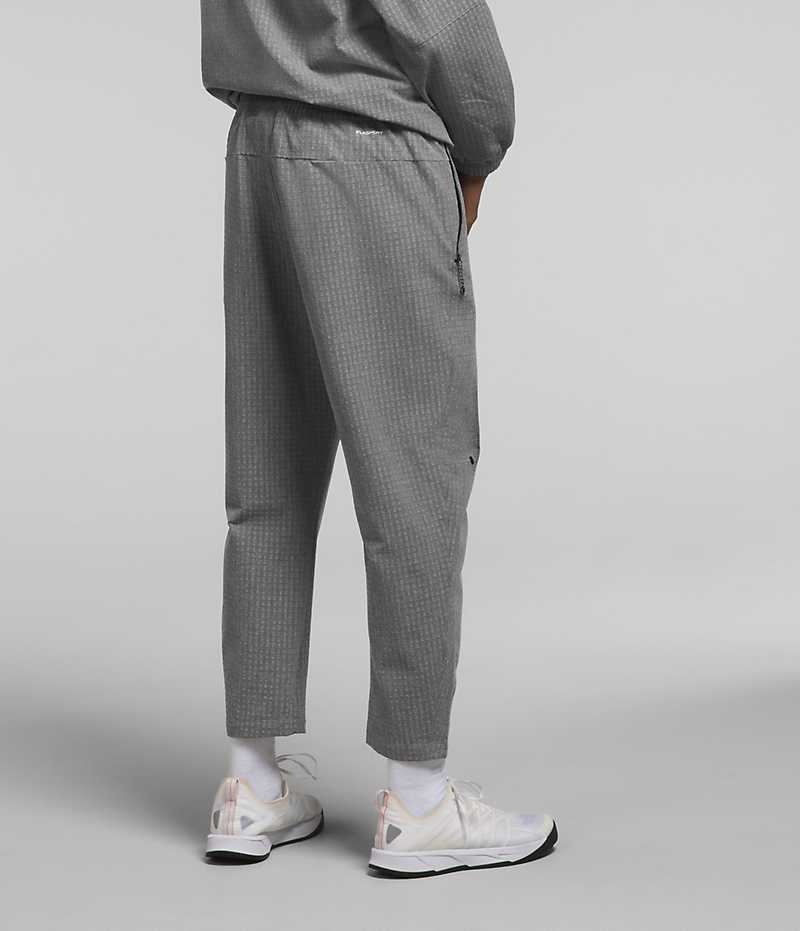 Pantalon En Molleton The North Face Tekware™ Grid Homme Grise | FR MZJDT