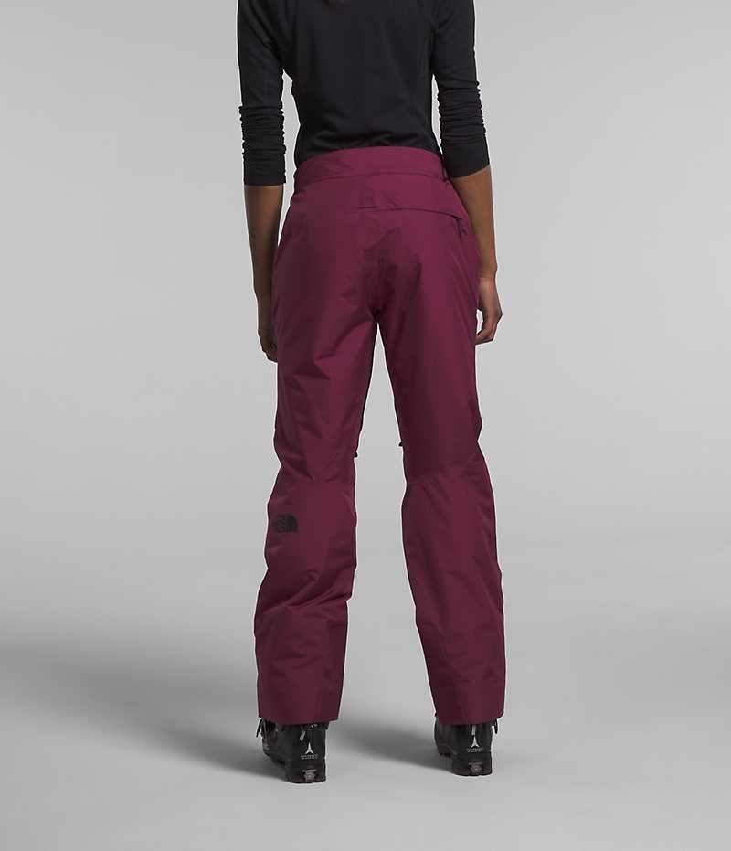 Pantalon Isolé The North Face Dawnstrike GTX Femme Bordeaux | FRANCE ZJQGX