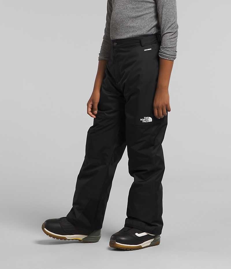 Pantalon Isolé The North Face Freedom Garcon Noir | FRANCE LPISE