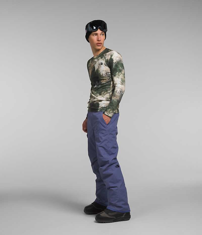 Pantalon Isolé The North Face Freedom Homme Bleu | FR FPBSJ