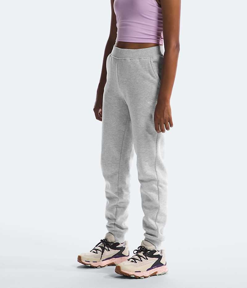 Pantalon Jogging The North Face Camp Fleece Fille Grise Clair | PARIS DSNIJ