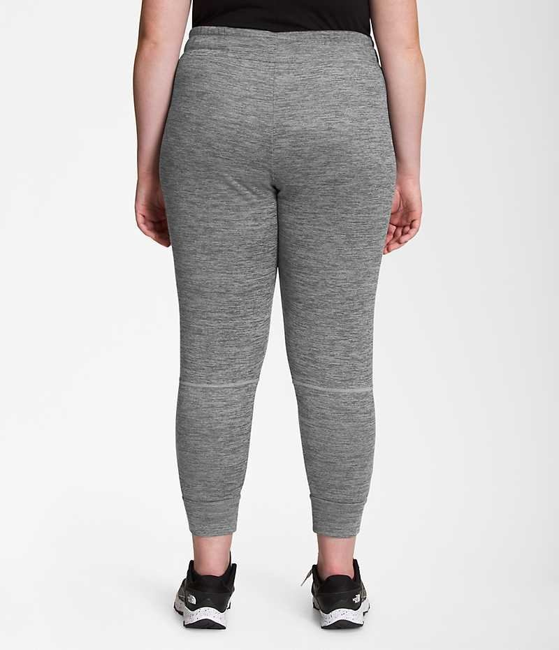 Pantalon Jogging The North Face Plus Canyonlands Femme Grise | FR BIMEX