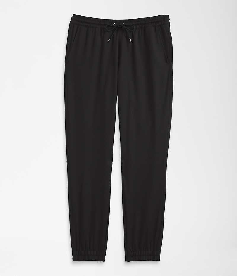Pantalon Jogging The North Face Standard Homme Noir | FR RELOK