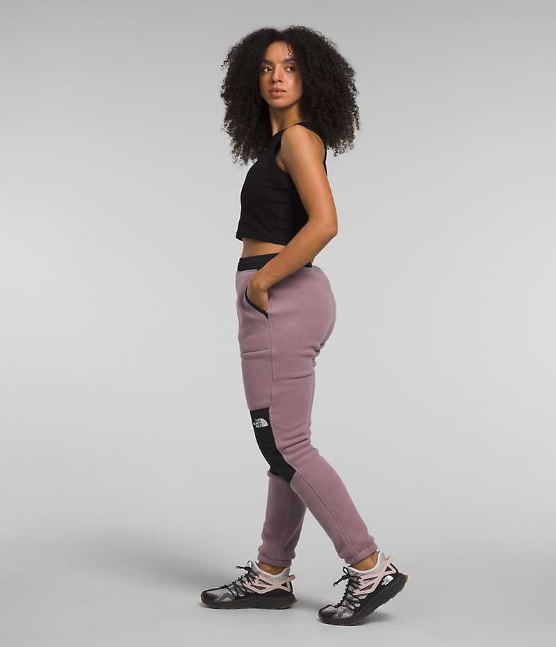 Pantalon The North Face Denali Femme Fushia | PARIS TBOJW