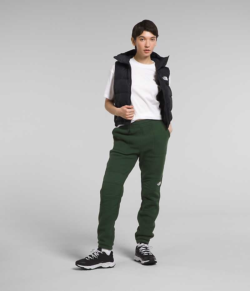 Pantalon The North Face Denali Femme Vert | FRANCE FICQK