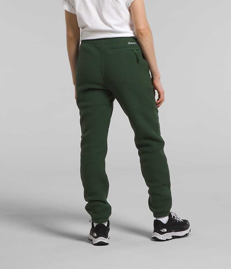 Pantalon The North Face Denali Femme Vert | FRANCE FICQK