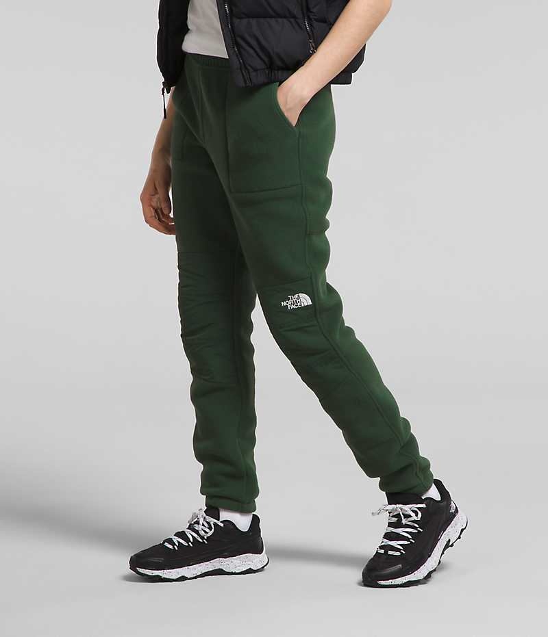 Pantalon The North Face Denali Femme Vert | FRANCE FICQK