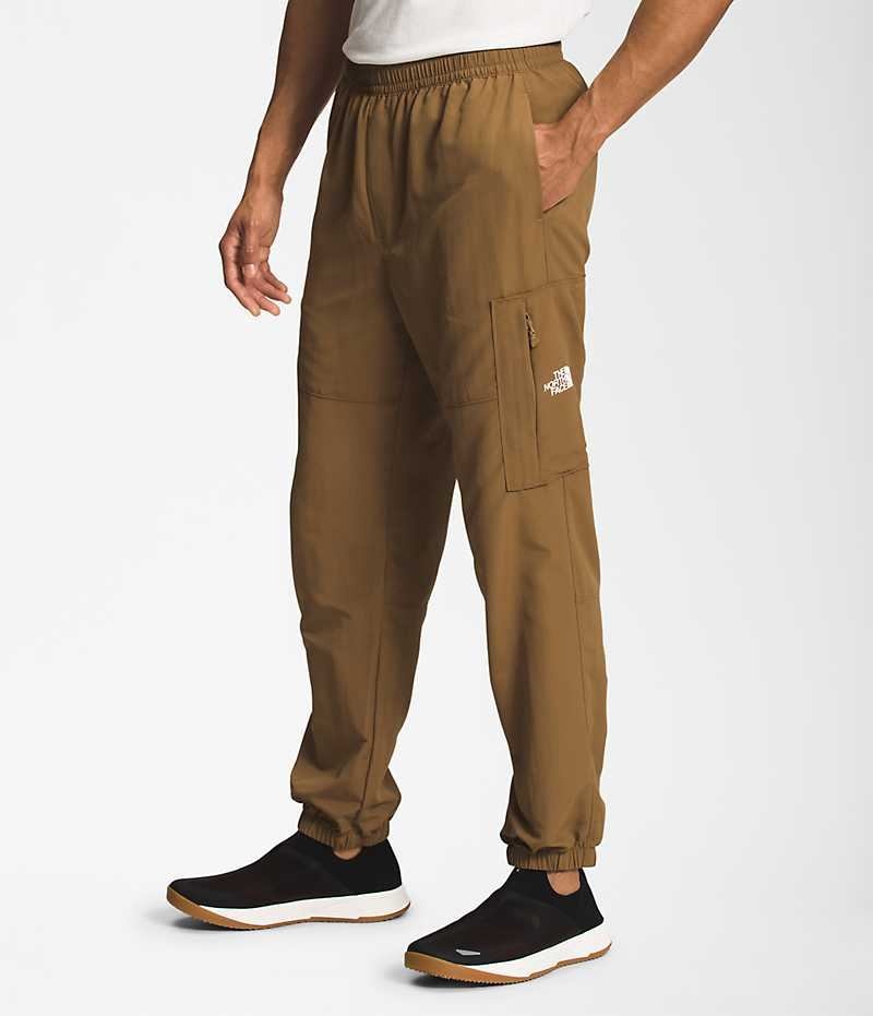 Pantalon The North Face TNF™ Nylon Easy Homme Marron | FR RDPLO
