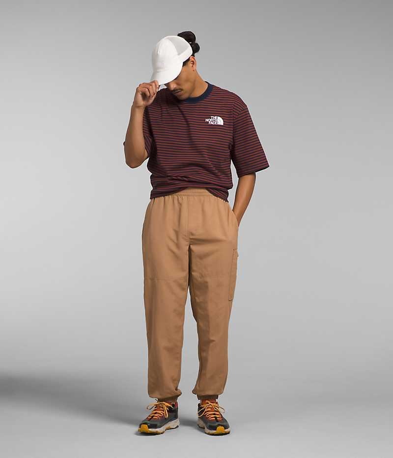 Pantalon The North Face TNF™ Nylon Easy Homme Marron | FRANCE RCDGF