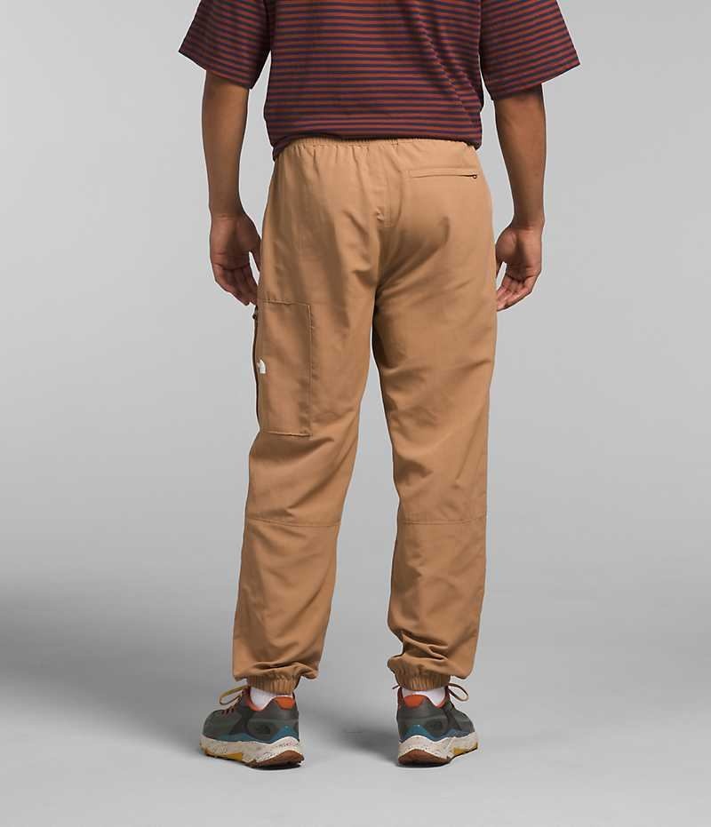 Pantalon The North Face TNF™ Nylon Easy Homme Marron | FRANCE RCDGF