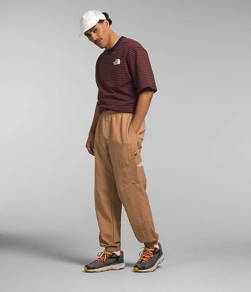 Pantalon The North Face TNF™ Nylon Easy Homme Marron | FRANCE RCDGF