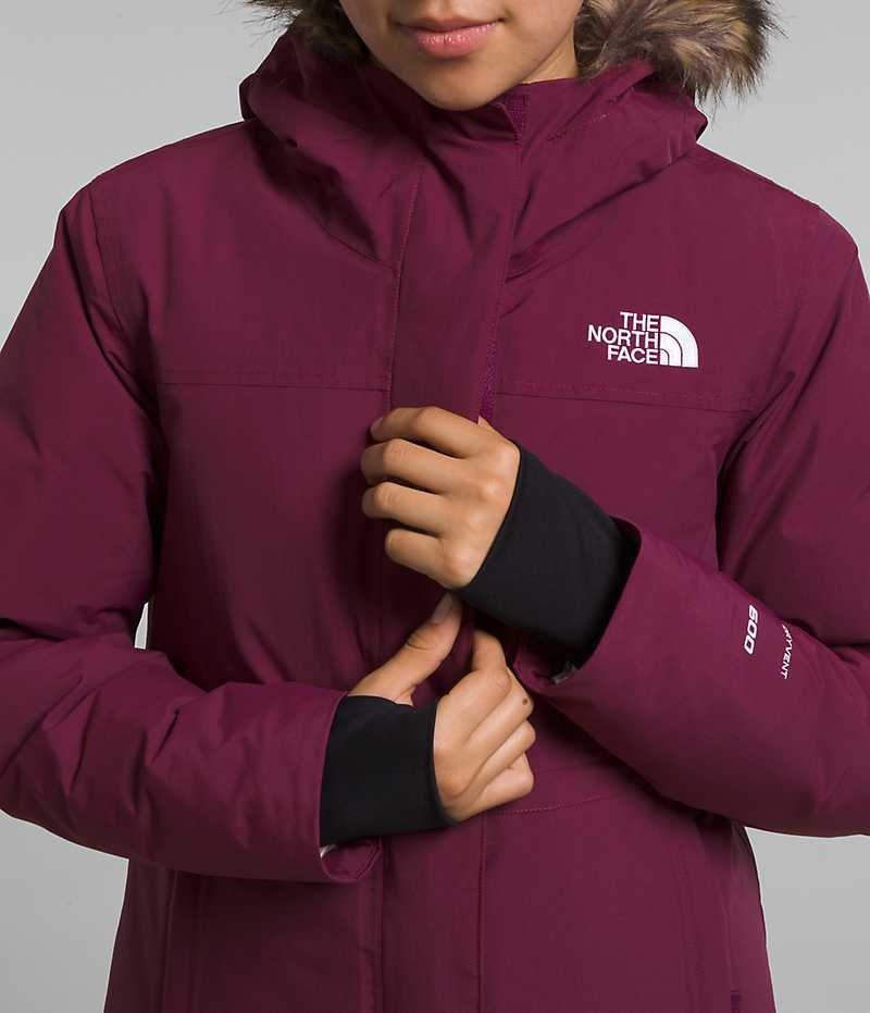 Parka The North Face Arctic Fille Bordeaux | PARIS UYPJE
