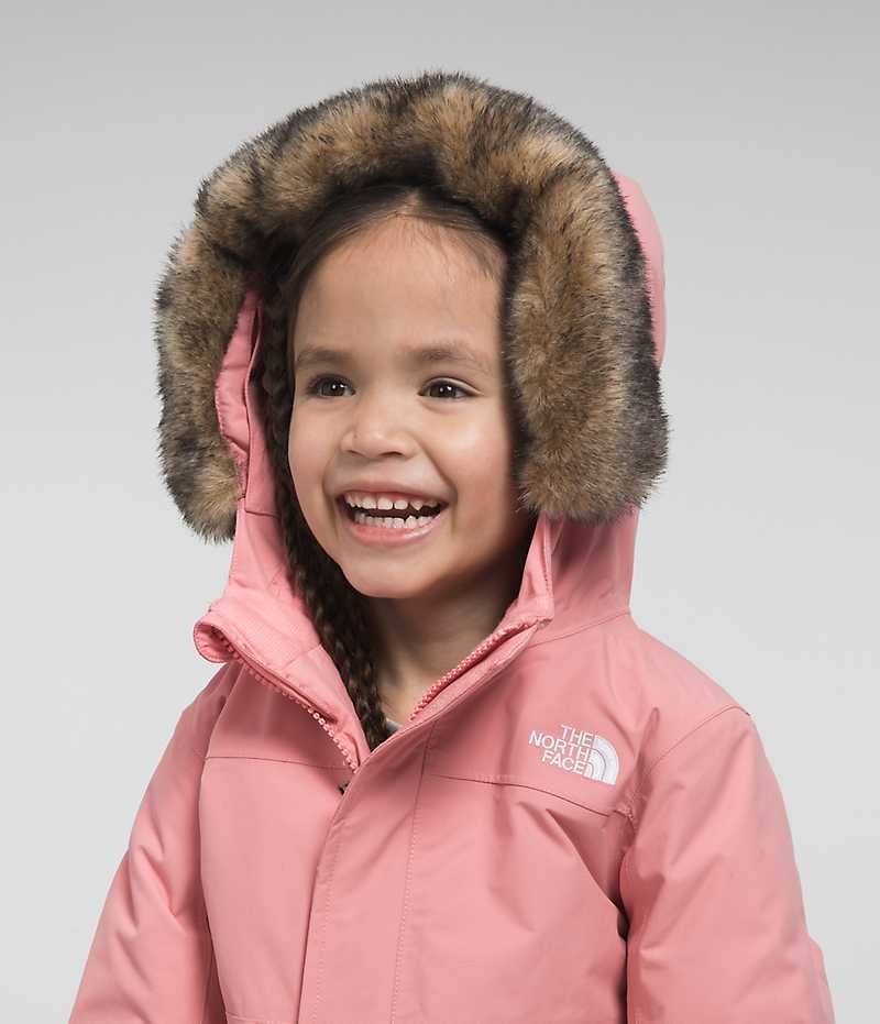 Parka The North Face Arctic Fille Rose | FR VRSCK