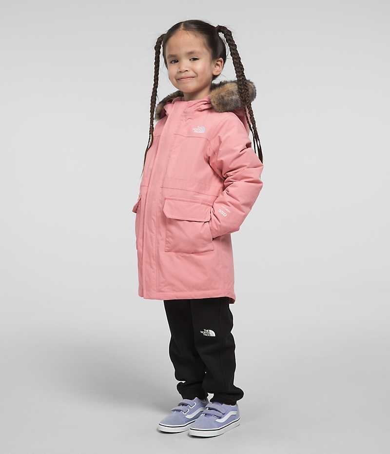 Parka The North Face Arctic Fille Rose | FR VRSCK