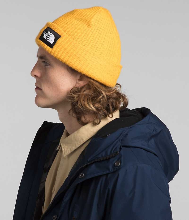 Parka The North Face Arctic GTX Homme Bleu Marine | PARIS IOPHM
