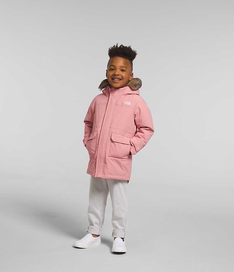 Parka The North Face Arctic Garcon Rose | FRANCE ZIOET