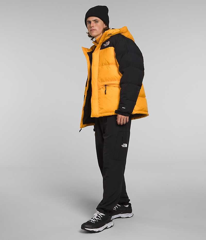 Parka The North Face HMLYN Down Homme Doré Noir | FRANCE PJTQI