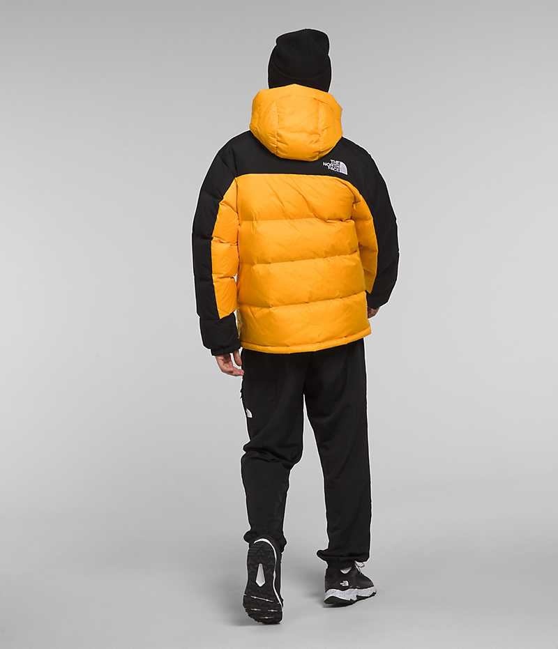 Parka The North Face HMLYN Down Homme Doré Noir | FRANCE PJTQI