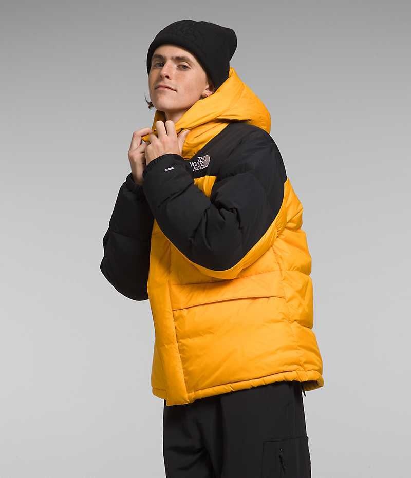 Parka The North Face HMLYN Down Homme Doré Noir | FRANCE PJTQI