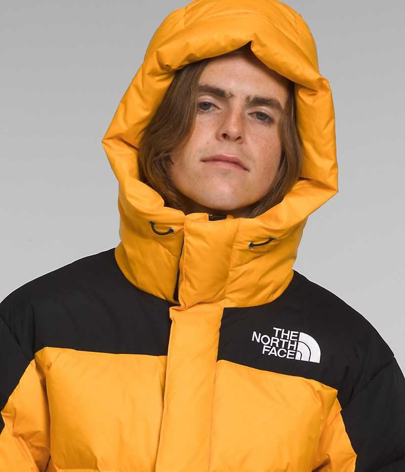 Parka The North Face HMLYN Down Homme Doré Noir | FRANCE PJTQI