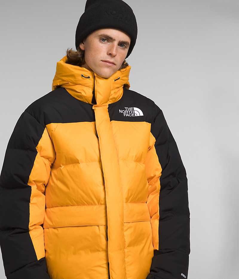 Parka The North Face HMLYN Down Homme Doré Noir | FRANCE PJTQI