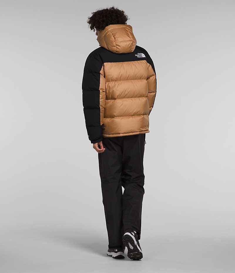 Parka The North Face HMLYN Down Homme Kaki Noir | PARIS QDCBL