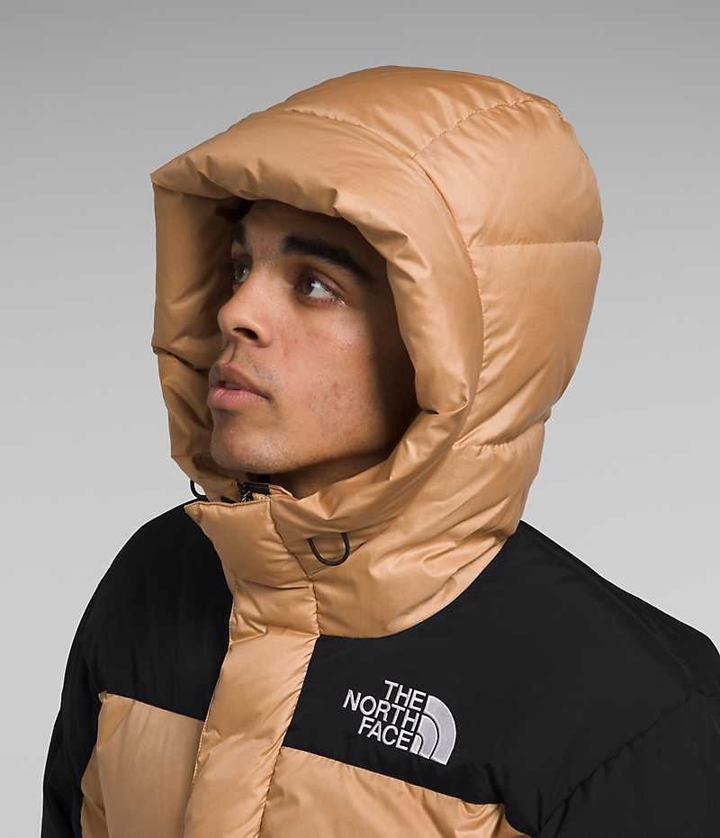 Parka The North Face HMLYN Down Homme Kaki Noir | PARIS QDCBL