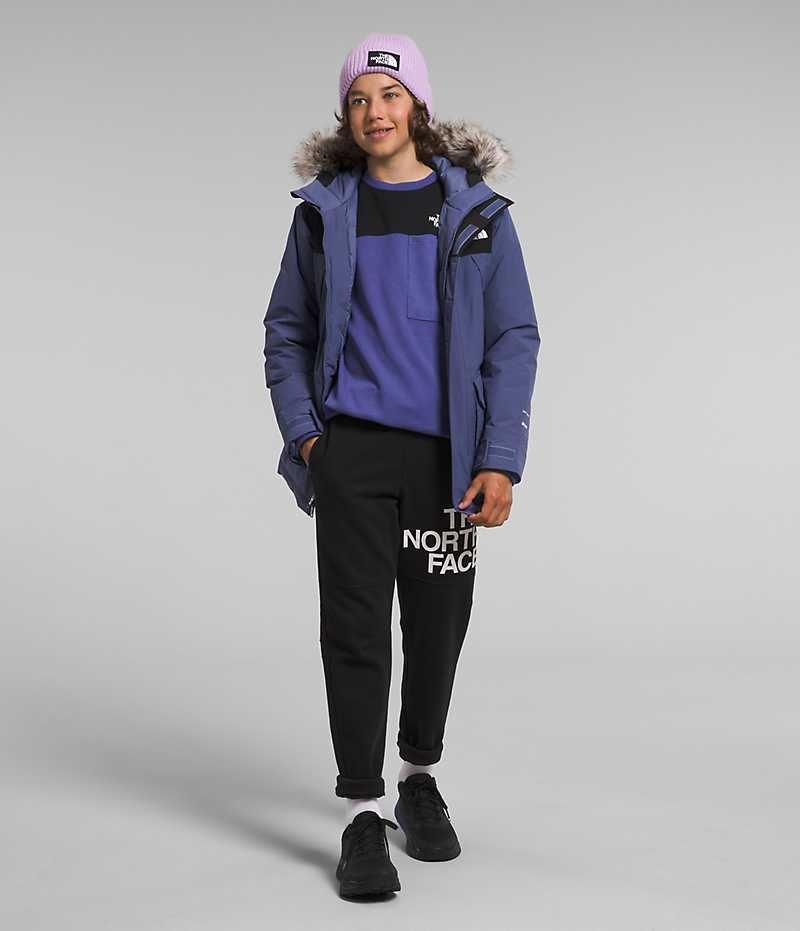 Parka The North Face McMurdo Garcon Bleu | PARIS RNVXA