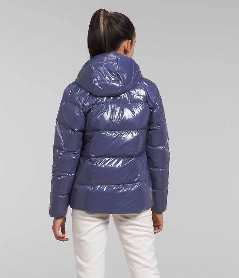 Parka The North Face North Down Fleece-Doublée Fille Bleu | FR AGLMC