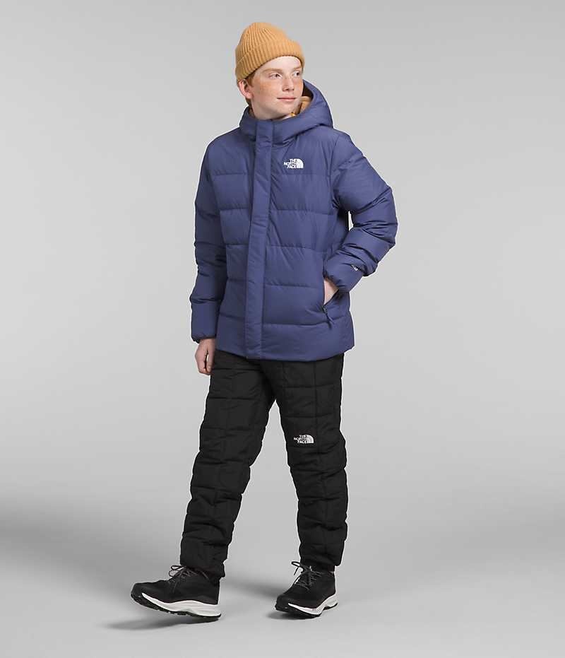 Parka The North Face North Down Fleece-Doublée Garcon Bleu | PARIS LBVNC