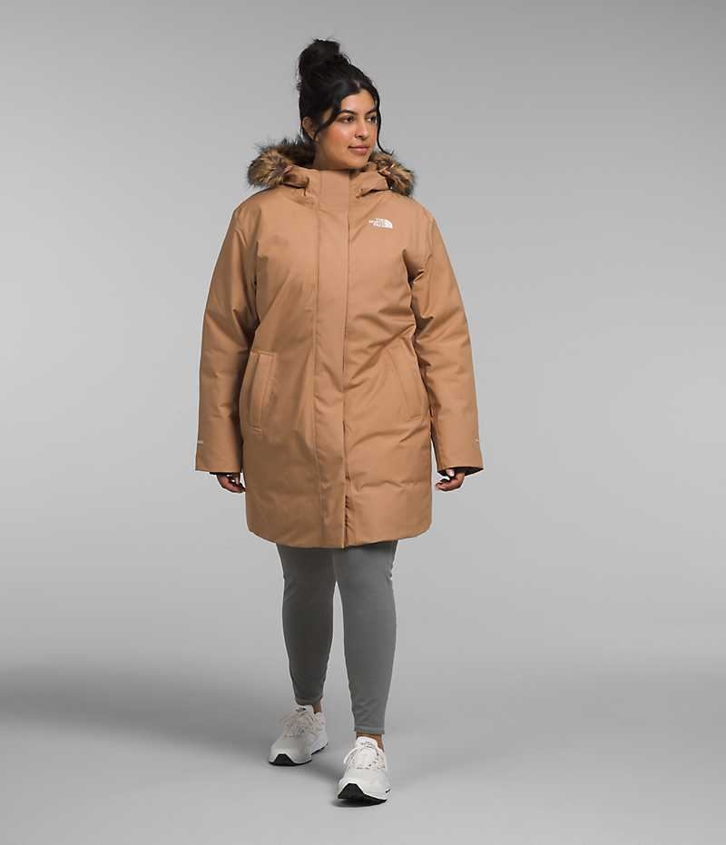 Parka The North Face Plus Arctic Femme Marron | FRANCE BNVPG