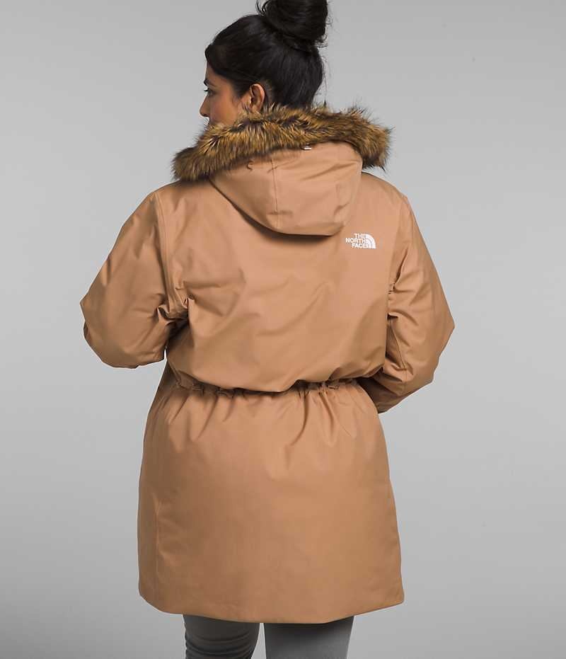 Parka The North Face Plus Arctic Femme Marron | FRANCE BNVPG