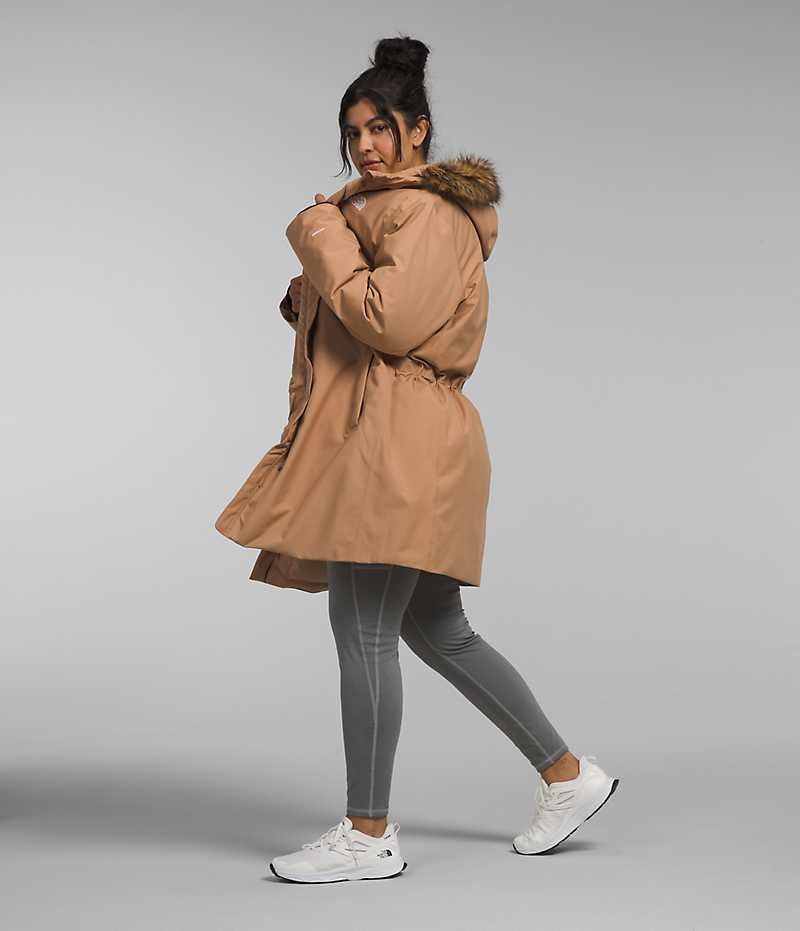 Parka The North Face Plus Arctic Femme Marron | FRANCE BNVPG