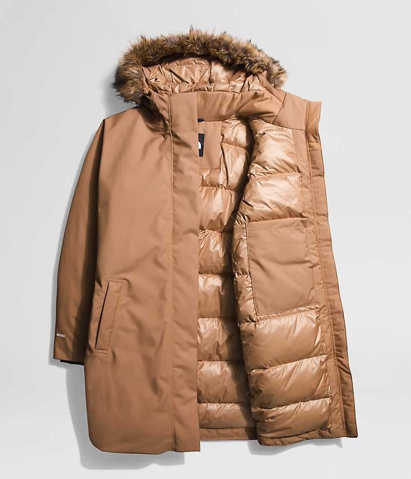 Parka The North Face Plus Arctic Femme Marron | FRANCE BNVPG