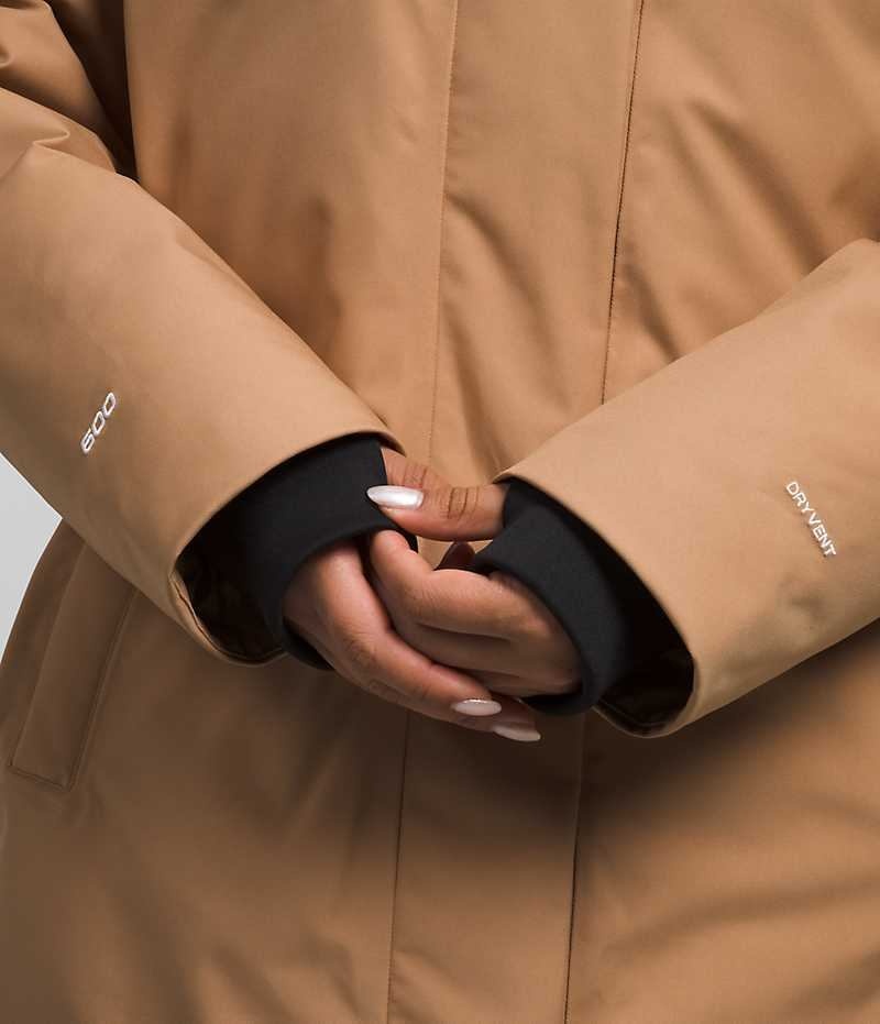 Parka The North Face Plus Arctic Femme Marron | FRANCE BNVPG