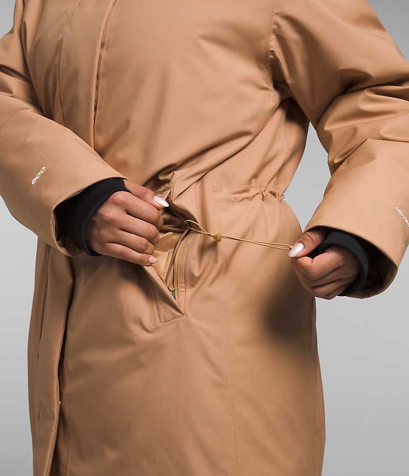 Parka The North Face Plus Arctic Femme Marron | FRANCE BNVPG