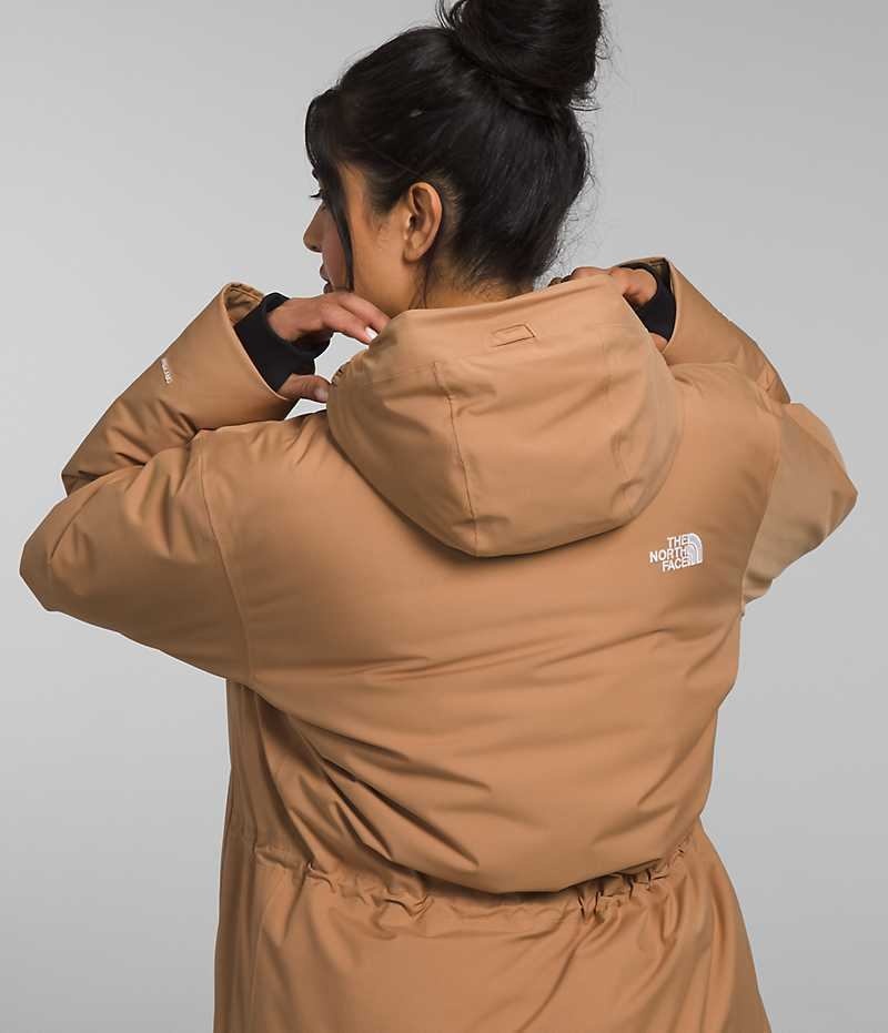 Parka The North Face Plus Arctic Femme Marron | FRANCE BNVPG
