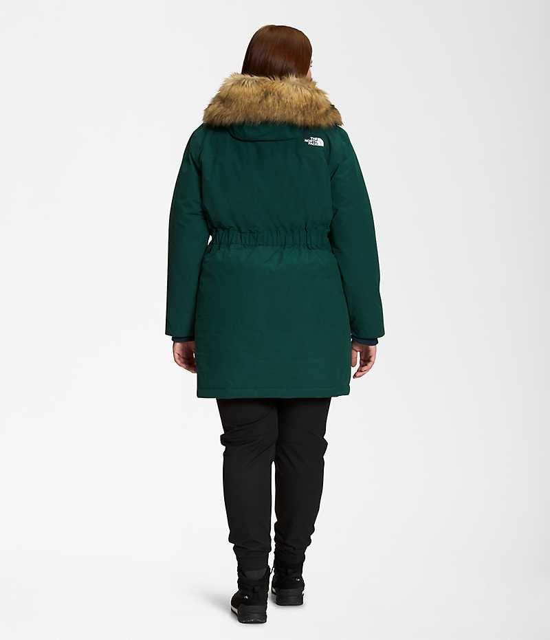Parka The North Face Plus Arctic Femme Vert | PARIS UKNRF