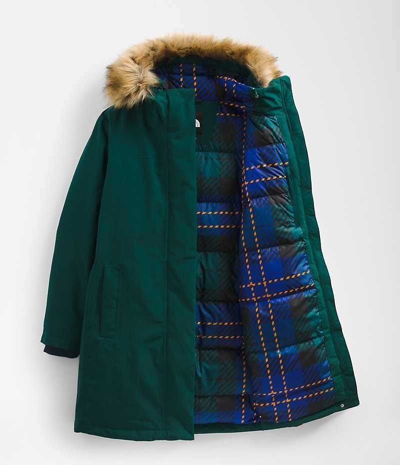 Parka The North Face Plus Arctic Femme Vert | PARIS UKNRF