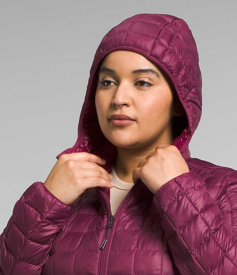 Parka The North Face Plus ThermoBall™ Eco Femme Rouge | FR TLAWB