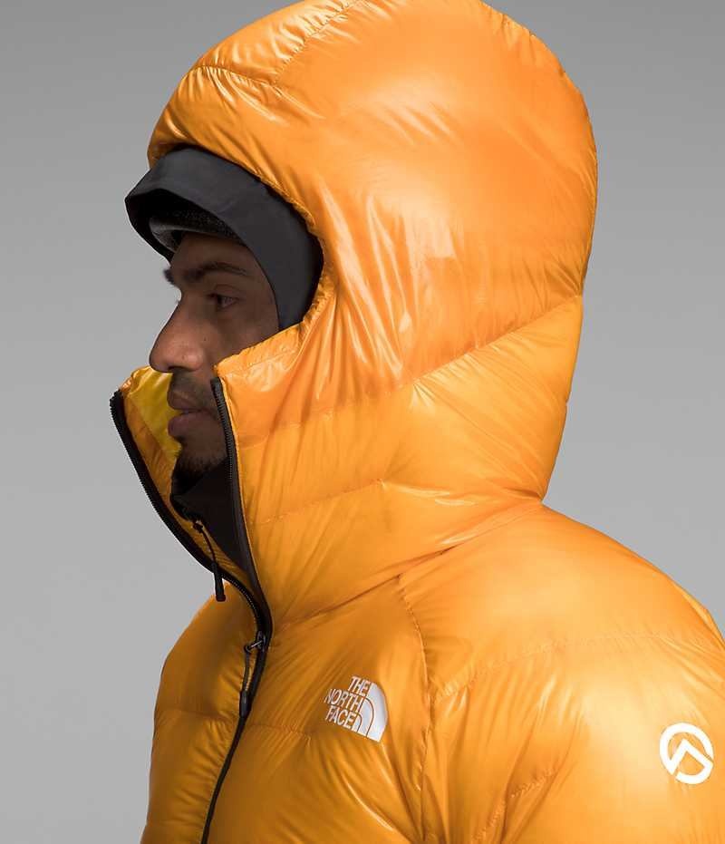 Parka The North Face Summit Series Pumori Down Homme Doré | FR CAHYV