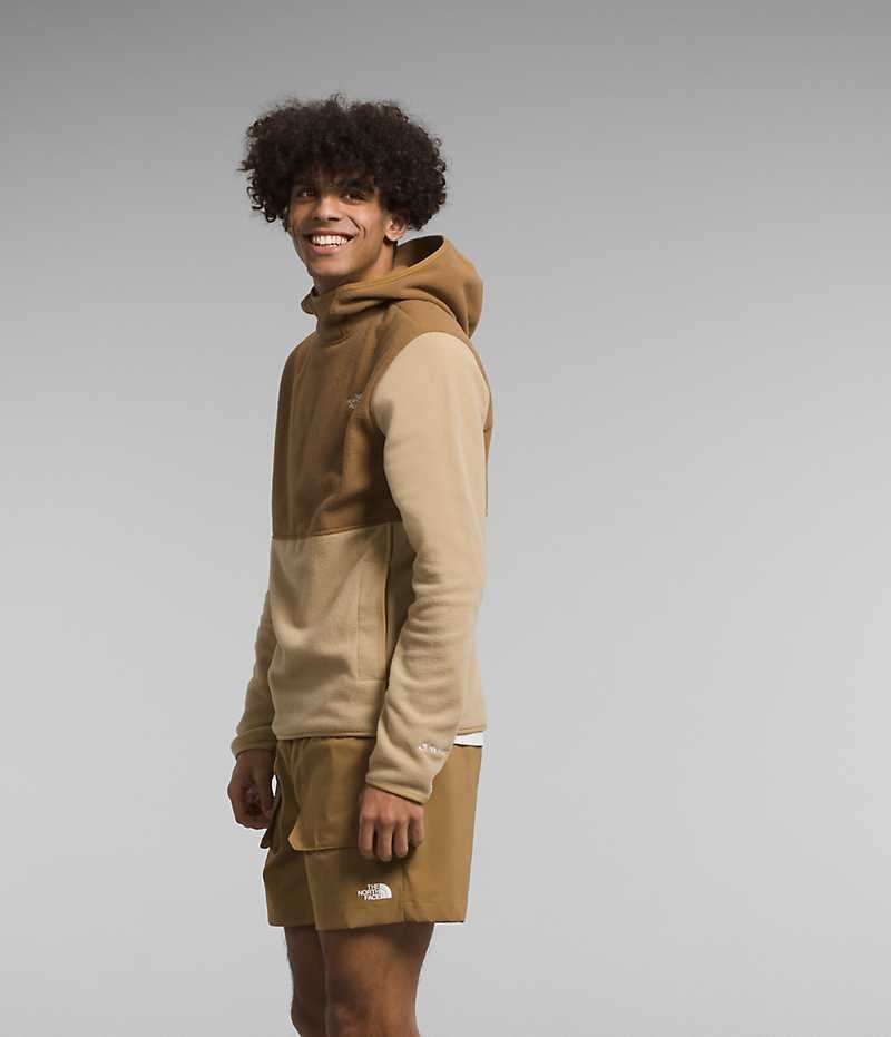 Pulls De Golf The North Face Alpine Polartec® 100 Homme Kaki Marron | FRANCE YPQKH