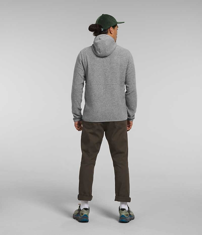 Pulls De Golf The North Face Alpine Polartec® 100 Homme Grise | FR SINGW