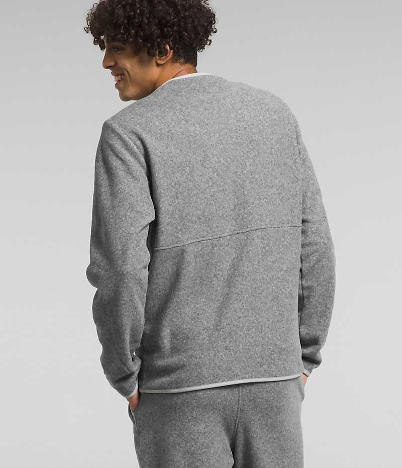 Pulls De Golf The North Face Alpine Polartec® 100 Crew Homme Grise | PARIS JXNUE