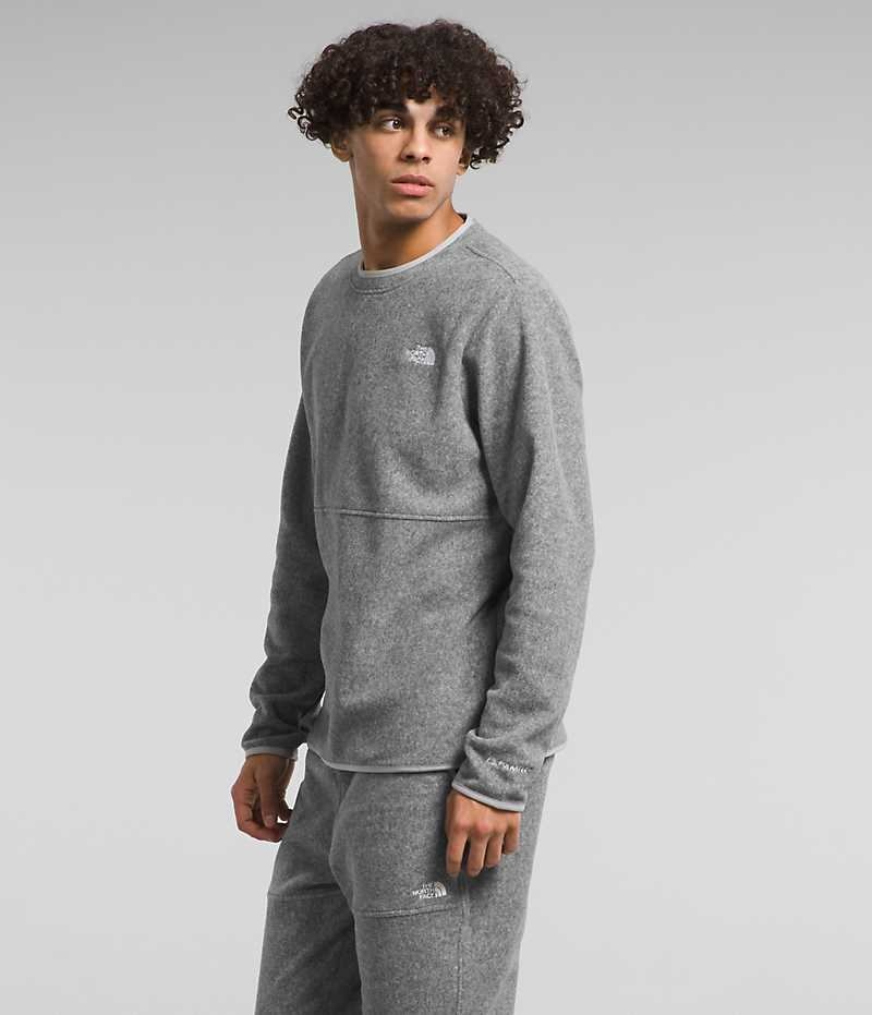 Pulls De Golf The North Face Alpine Polartec® 100 Crew Homme Grise | PARIS JXNUE