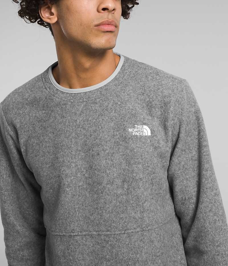 Pulls De Golf The North Face Alpine Polartec® 100 Crew Homme Grise | PARIS JXNUE
