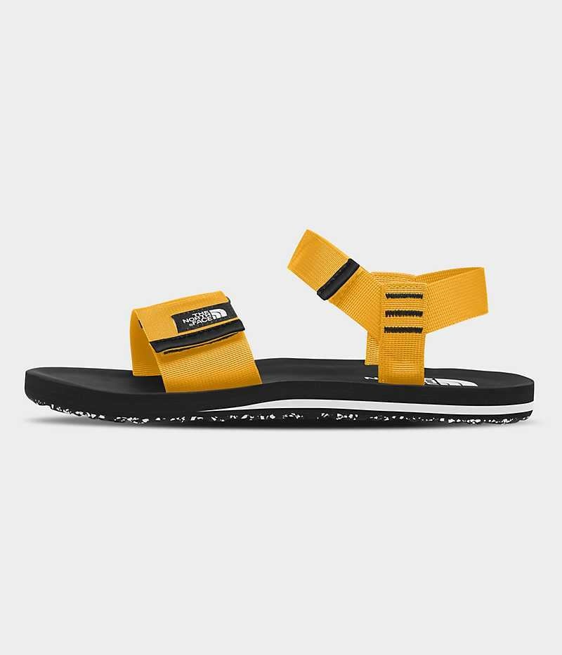 Sandale The North Face Skeena Homme Doré Noir | FRANCE ULSHB